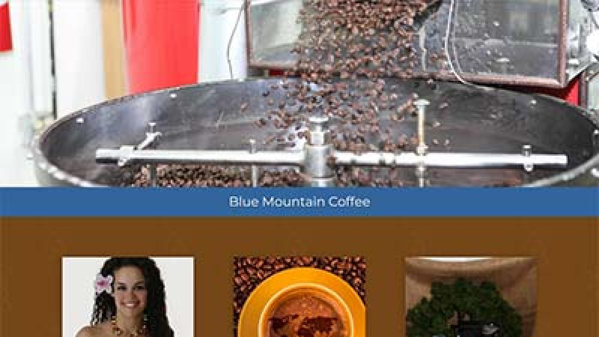 Blue Mountain Coffee